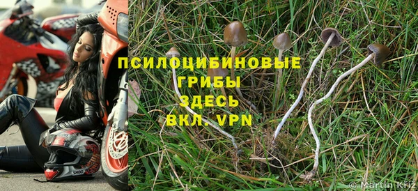 эйфоретик Коряжма